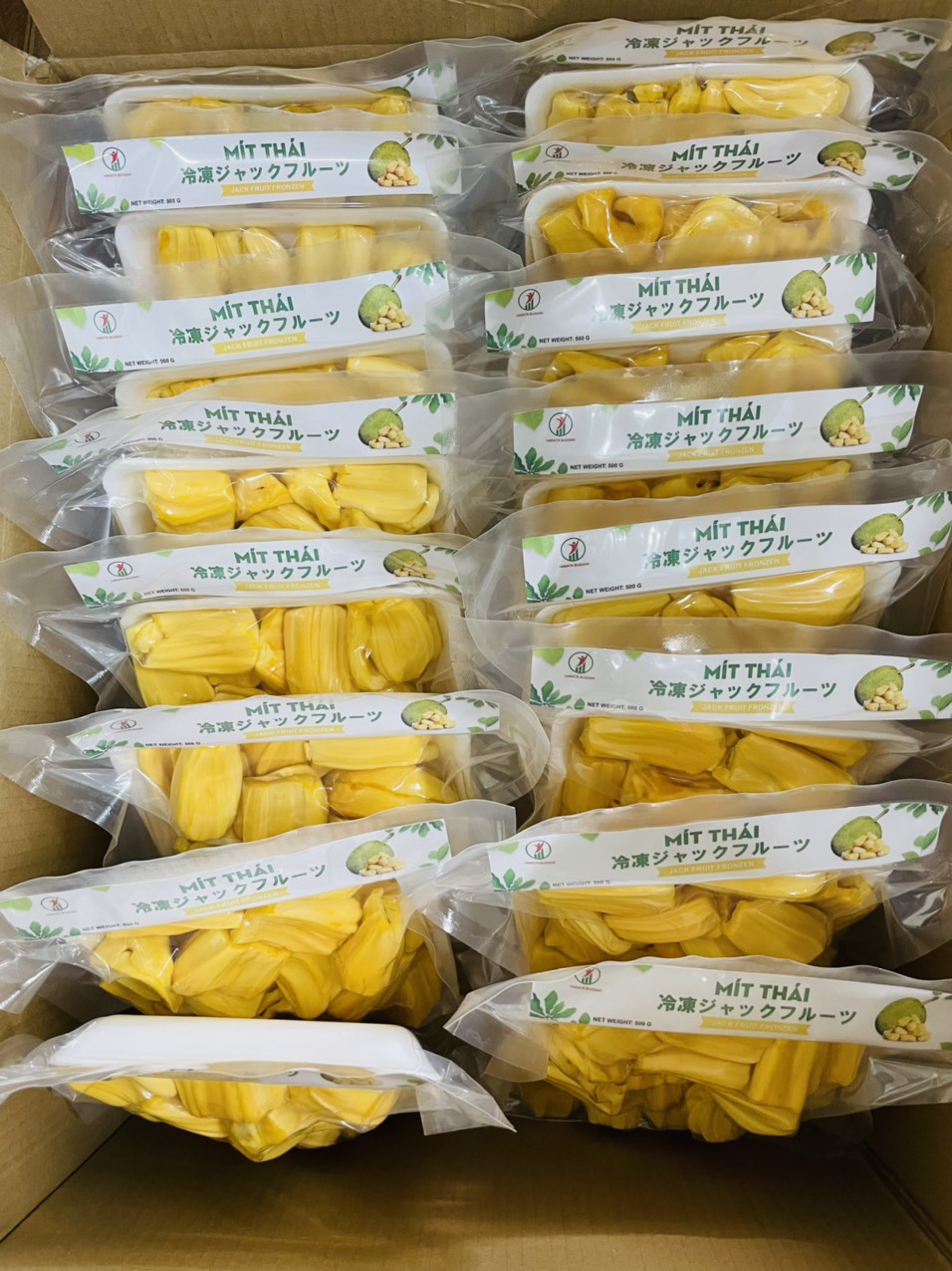 Frozen Jackfruit