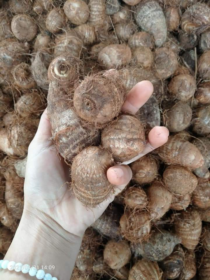 Frozen Taro