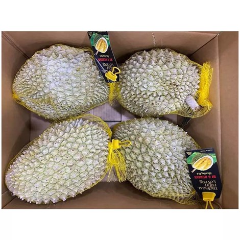 Frozen Durian Whole