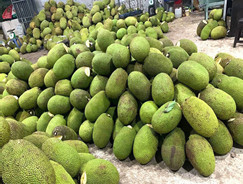 Frozen Jackfruit