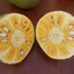 Frozen Jackfruit