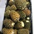 Dried Pineapple