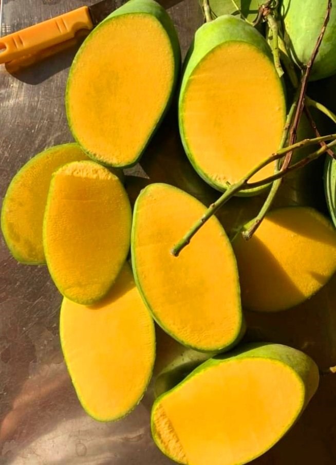 Xoaif Xoài cắt hạt lựu đông lạnh - AGROGREEN VIỆT NAM