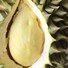 Frozen Durian Whole