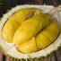 Frozen Durian Seedless