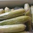 Frozen Corn
