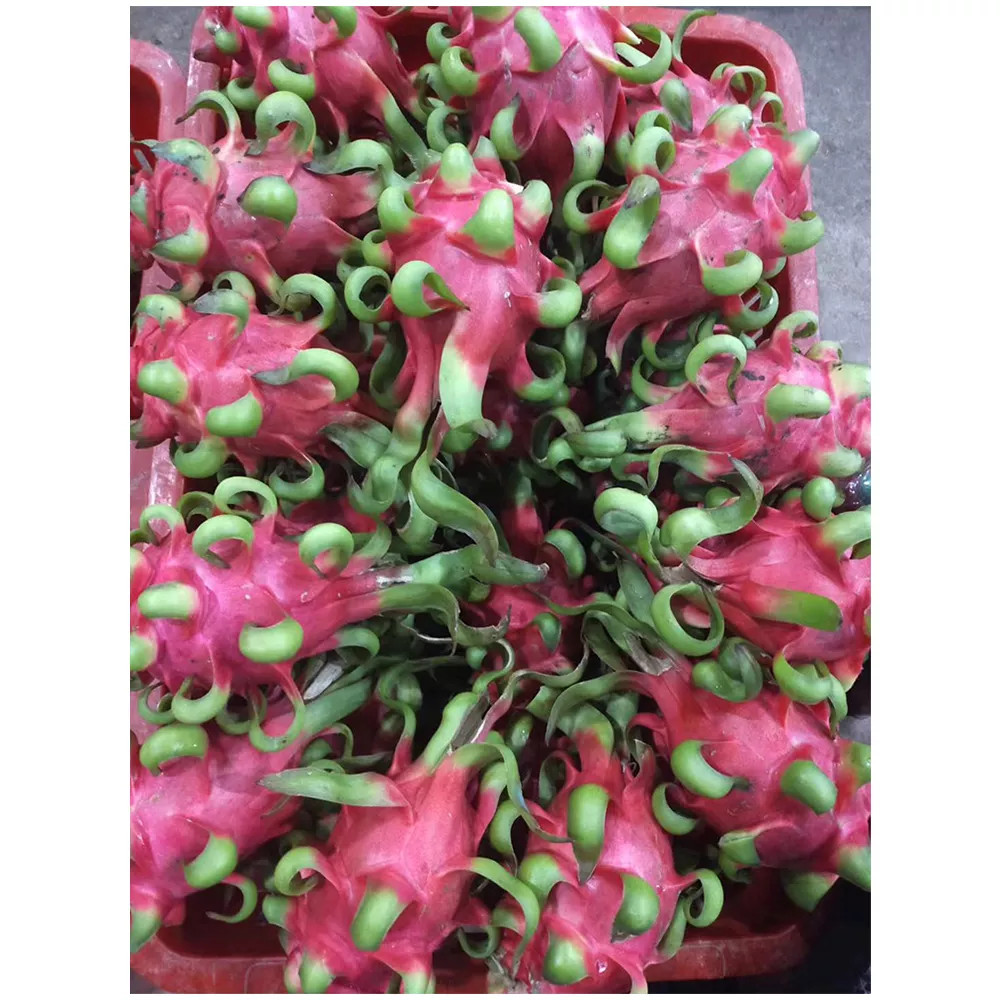 Frozen Red Dragon Puree