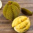 Frozen Durian Whole