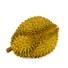 Frozen Durian Whole